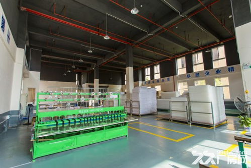 高新區獨棟科技研發空間 7.2米首層層高，賦能網絡科技企業創新升級